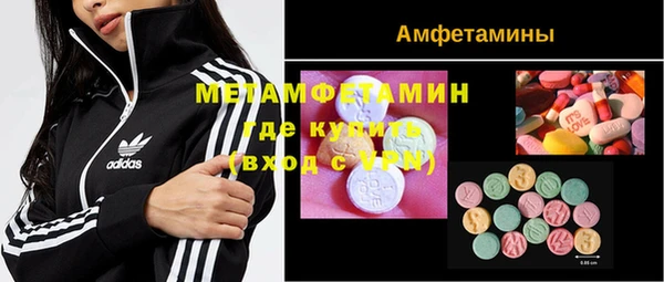 твердый Инта