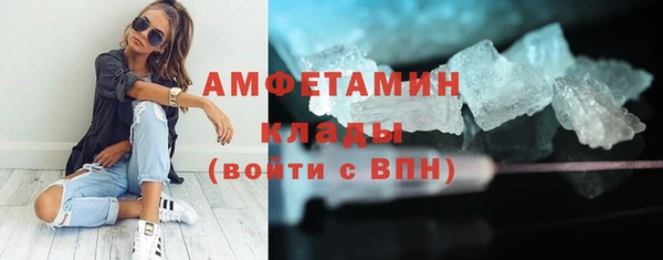 твердый Инта