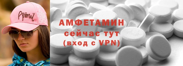 твердый Инта