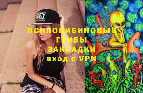 твердый Инта