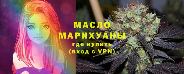 твердый Инта