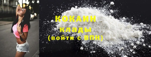 твердый Инта