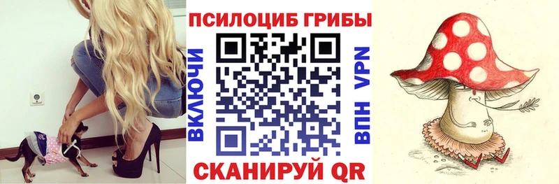 Купить  Любим  Галлюциногенные грибы Magic Shrooms 